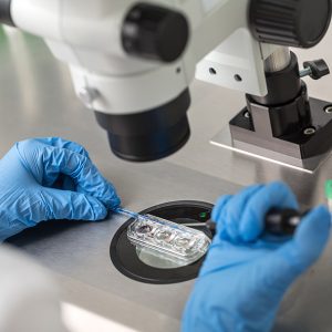 Reproducción y complicaciones de la salud reproductiva